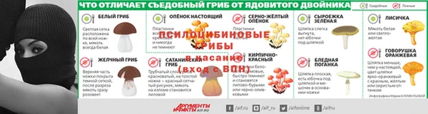 прущие грибы Арсеньев
