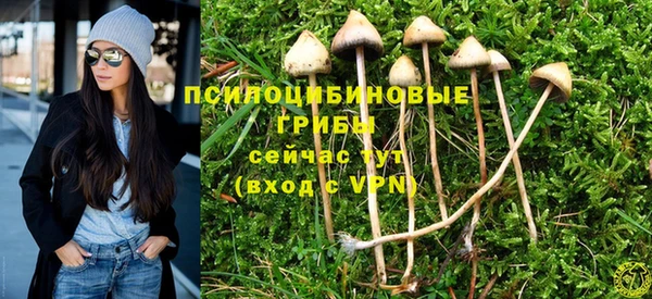 прущие грибы Арсеньев