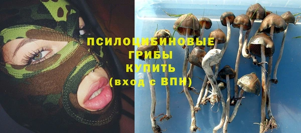 бошки Алексеевка