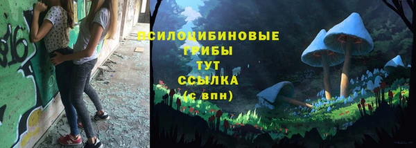 бошки Алексеевка